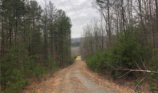 Photo #14 of TBD EPWORTH, Cana, VA 16.1 acres