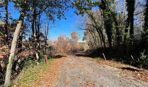 Photo #26 of Morehead, Reidsville, NC 100.4 acres