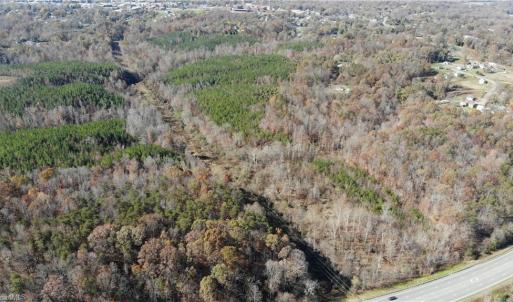 Photo #3 of Morehead, Reidsville, NC 100.4 acres