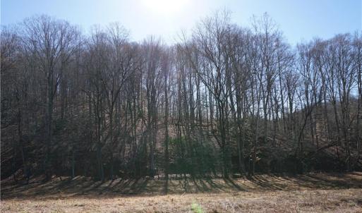 Photo #17 of 1248 Sands, Lawsonville, NC 81.8 acres