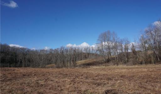 Photo #16 of 1248 Sands, Lawsonville, NC 81.8 acres