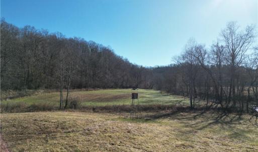 Photo #22 of 1248 Sands, Lawsonville, NC 81.8 acres