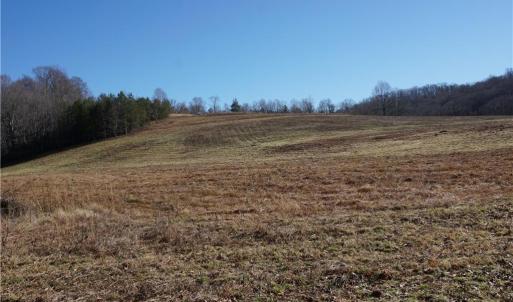 Photo #9 of 1248 Sands, Lawsonville, NC 81.8 acres