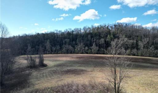 Photo #33 of 1248 Sands, Lawsonville, NC 81.8 acres