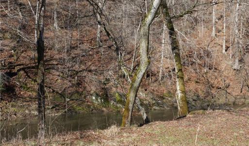 Photo #14 of 1248 Sands, Lawsonville, NC 81.8 acres