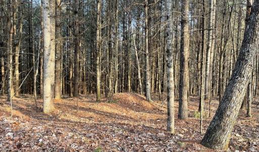 Photo #6 of TBD Lot 40 Chestnut Falls, Galax, VA 6.3 acres