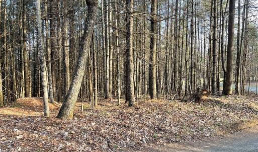 Photo #3 of TBD Lot 40 Chestnut Falls, Galax, VA 6.3 acres