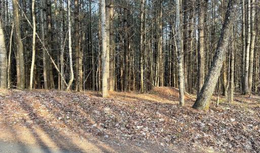 Photo #1 of TBD Lot 40 Chestnut Falls, Galax, VA 6.3 acres