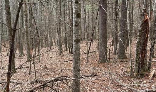 Photo #4 of TBD Lot 40 Chestnut Falls, Galax, VA 6.3 acres