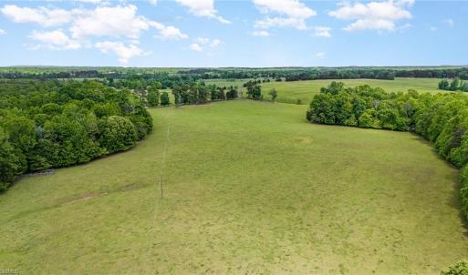 Photo #3 of Albright, Siler City, NC 72.7 acres
