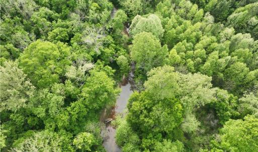 Photo #18 of Harrelson, Yanceyville, NC 51.1 acres