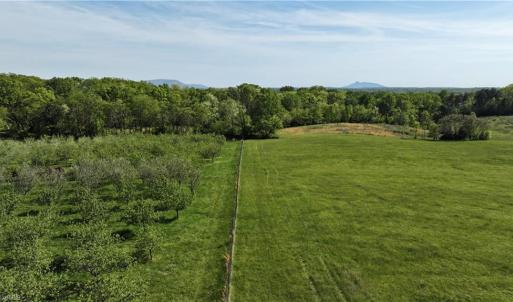 Photo #3 of Joyce Acres, Westfield, NC 50.5 acres