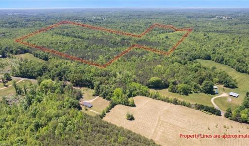 Photo #3 of Neal, Reidsville, NC 51.0 acres