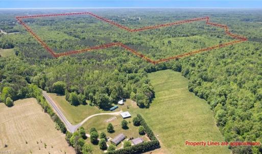 Photo #1 of Neal, Reidsville, NC 51.0 acres