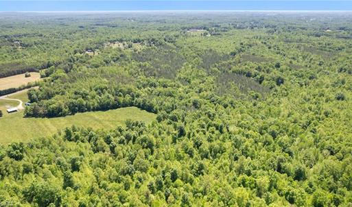 Photo #10 of Neal, Reidsville, NC 51.0 acres
