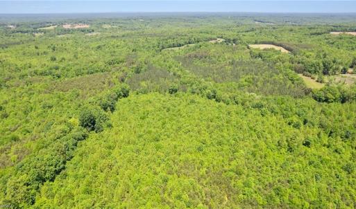 Photo #11 of Neal, Reidsville, NC 51.0 acres