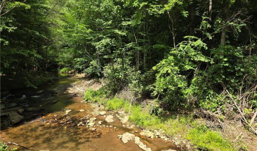 Johnson Creek Runs Through