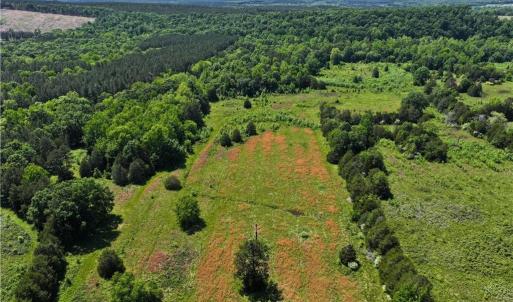 Photo #12 of 1240 Moschler, Gretna, VA 512.9 acres