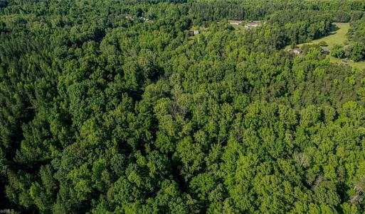 Photo #16 of NC Highway 86, Yanceyville, NC 14.0 acres