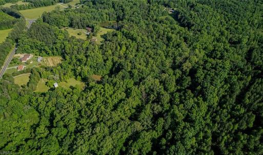 Photo #18 of NC Highway 86, Yanceyville, NC 14.0 acres