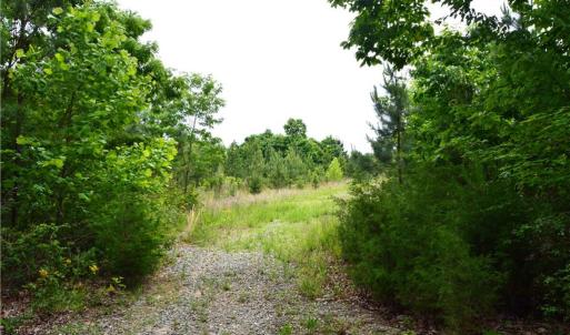 Photo #3 of Dillard, Madison, NC 229.0 acres