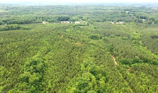 Photo #38 of Dillard, Madison, NC 229.0 acres