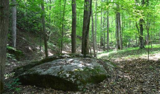 Photo #15 of Dillard, Madison, NC 229.0 acres