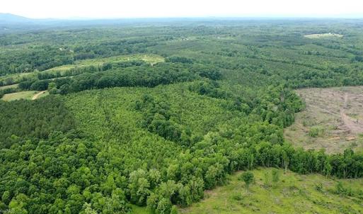 Photo #44 of Dillard, Madison, NC 229.0 acres