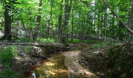 Photo #1 of Bethesda Church, Madison, NC 223.0 acres