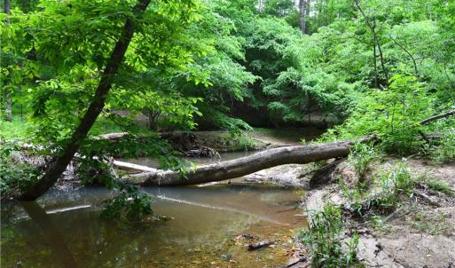 Photo #18 of Bethesda Church, Madison, NC 223.0 acres