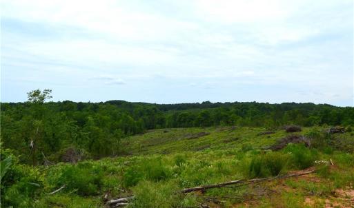 Photo #15 of Bethesda Church, Madison, NC 223.0 acres