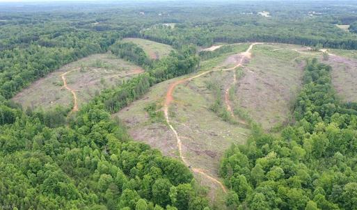 Photo #40 of Bethesda Church, Madison, NC 223.0 acres