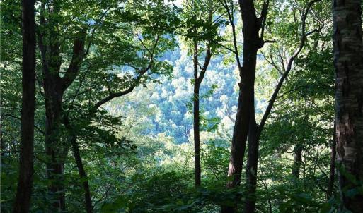 Photo #6 of 2575 Shooting Creek, Floyd, VA 329.2 acres