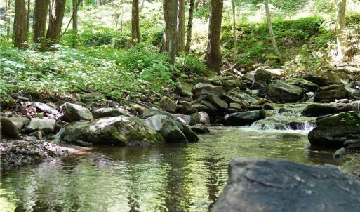 Photo #5 of 2575 Shooting Creek, Floyd, VA 329.2 acres