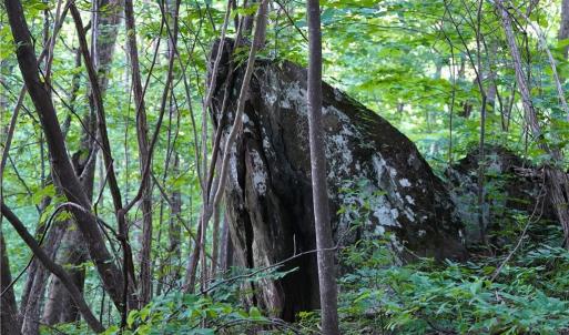 Photo #34 of 2575 Shooting Creek, Floyd, VA 329.2 acres