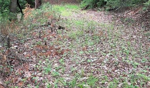 Photo #10 of TBD Apple Ridge Road, Cana, VA 24.2 acres