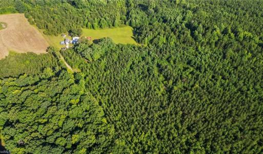 Photo #4 of Abner, Troy, NC 16.8 acres
