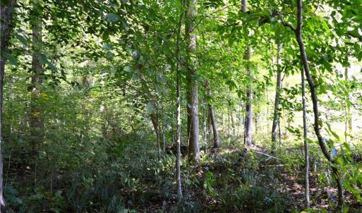 Photo #16 of Cherry Grove, Reidsville, NC 149.0 acres