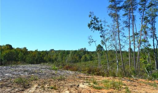 Photo #28 of Cherry Grove, Reidsville, NC 149.0 acres