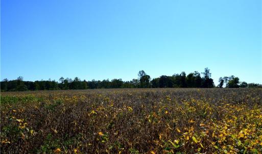 Photo #5 of Cherry Grove, Reidsville, NC 149.0 acres