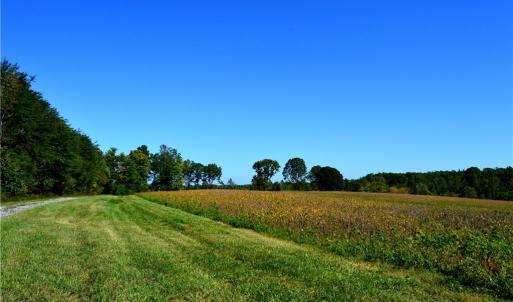 Photo #9 of Cherry Grove, Reidsville, NC 149.0 acres