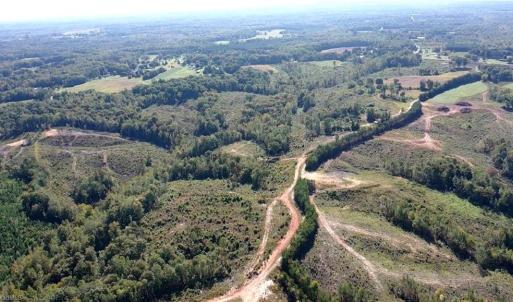 Photo #44 of Cherry Grove, Reidsville, NC 149.0 acres