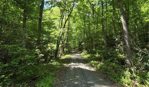 Private road with 40 acres +/-