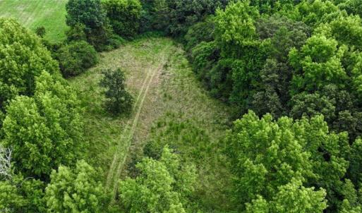 Photo #28 of 1920 NC Highway 42, Asheboro, NC 92.6 acres