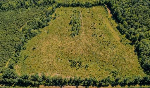 Photo #5 of Fitch, Yanceyville, NC 72.1 acres