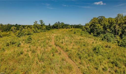 Photo #10 of Fitch, Yanceyville, NC 72.1 acres