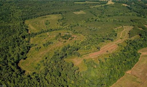 Photo #11 of Fitch, Yanceyville, NC 72.1 acres
