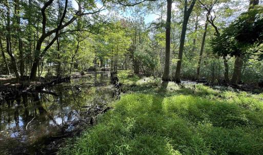 Photo #18 of 3873 Herbert Perry Road, Kitty Hawk, NC 6.1 acres