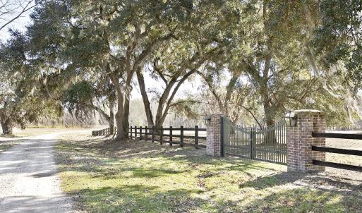 Plantation lot with fence and gate