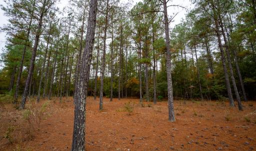 Barnwell SC 490_ProPhoto-67